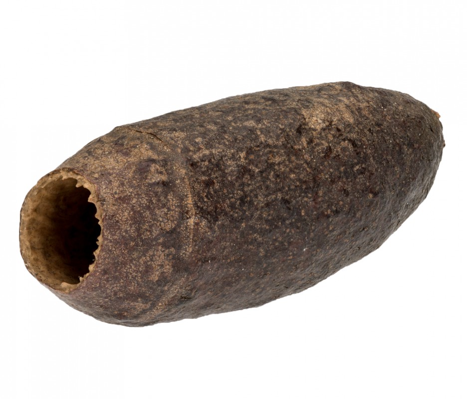 Jequitibá Schote 7-9 cm Cariniana legalis Samenkapsel Terrarium Aquarium Deko