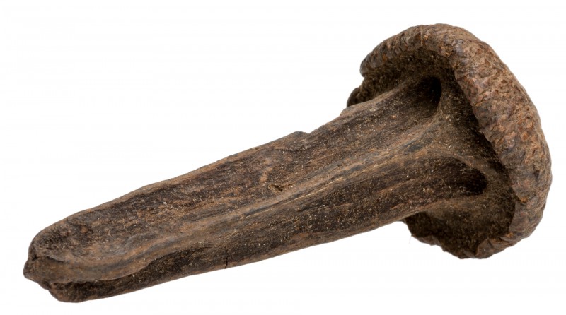 Sero Nail ca.7-14cm | Couratari guianensis