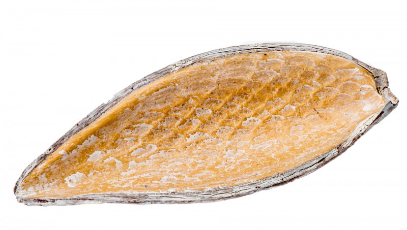 Canoinha frosted