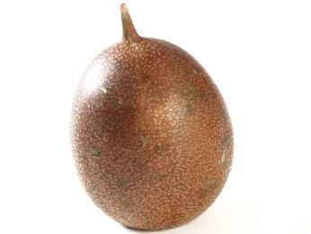 Passion Frucht braun 6-7cm | Passiflora edulis