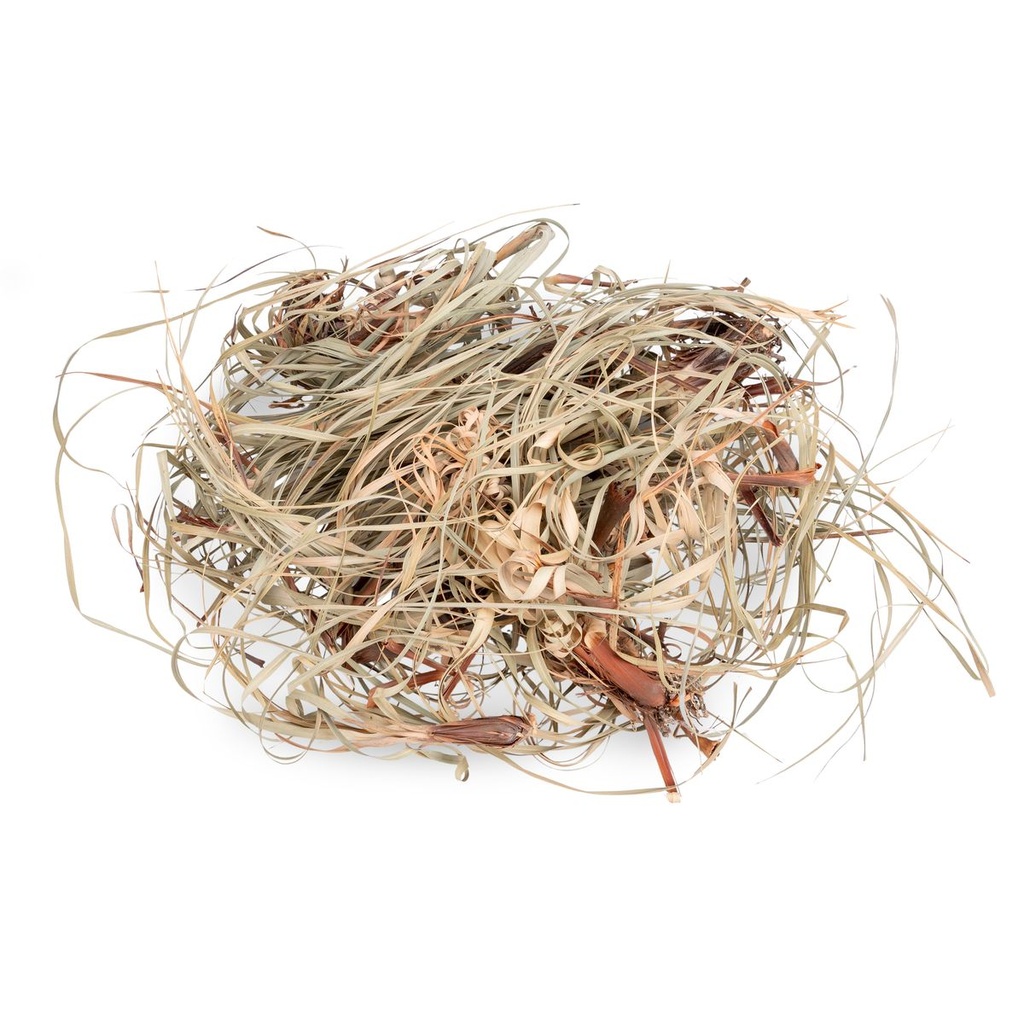 Tiririca Gras 250 g Cyperus rotundus Trockengras Brasilien Deko Floristik Natur