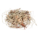 Tiririca Gras 250 g Cyperus rotundus Trockengras Brasilien Deko Floristik Natur