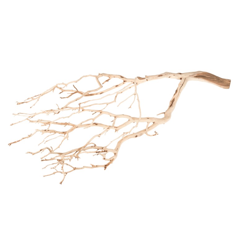 Manzanita Baum sandgestrahlt 60 cm Dekobaum Naturzweig Hochzeit Tisch ohne Fuß