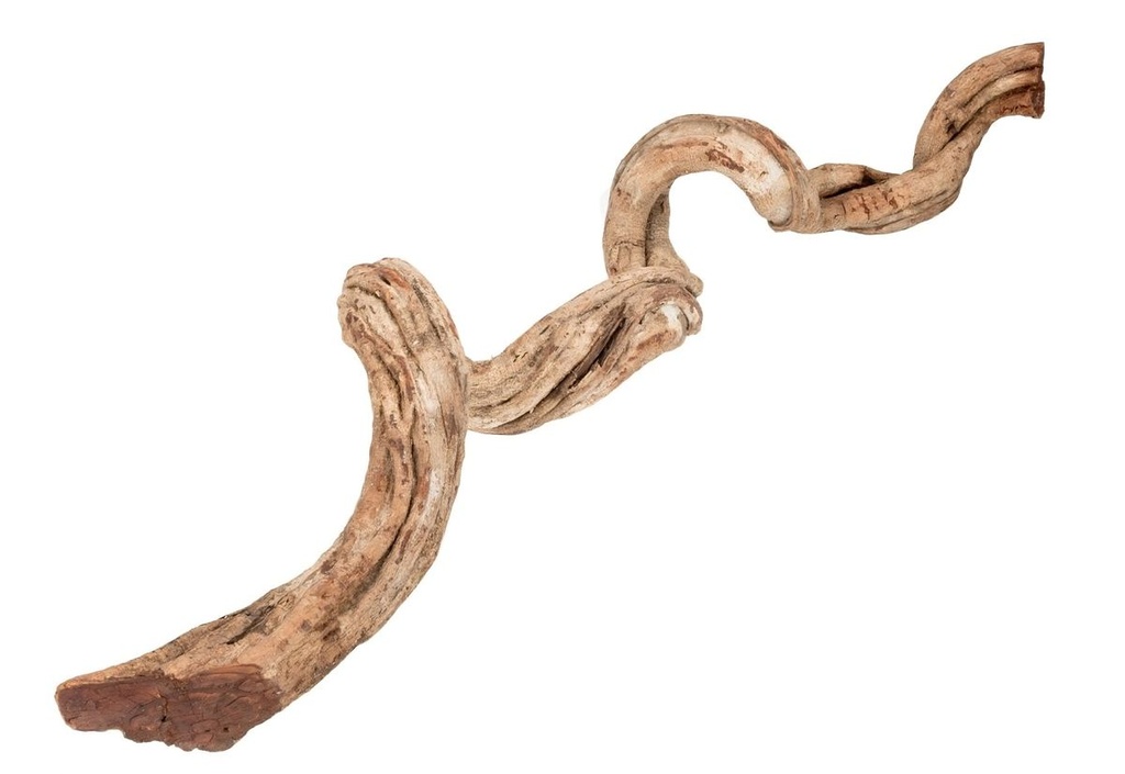 Cipo Rosca Liane Natur 100-150 cm Ø 9-11 cm Dekoholz Brasilien Terrarium Deko