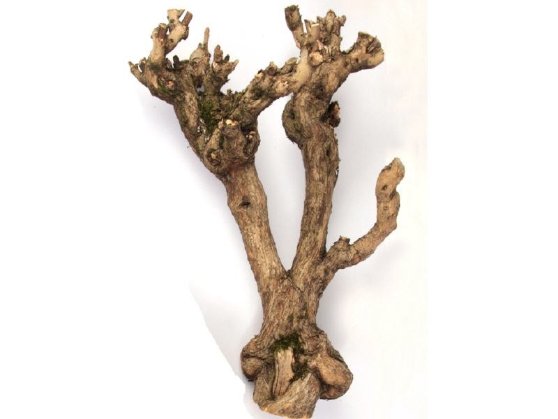 Flieder Holz klein, Länge ca. 40cm | Dekoholz