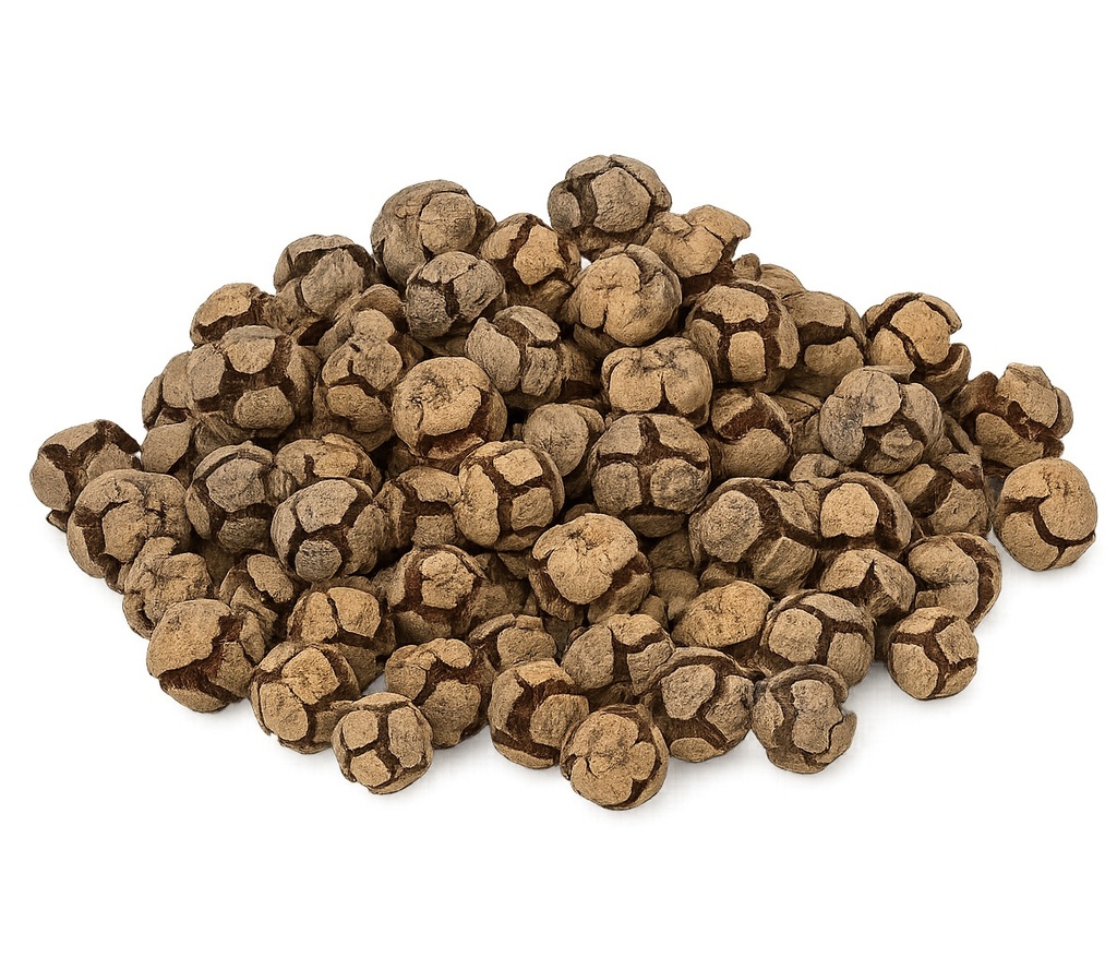 Zypressenzapfen 0,5 kg ca. 80-100 Stück 2-3 cm Cupressus Zapfen Basteln Deko
