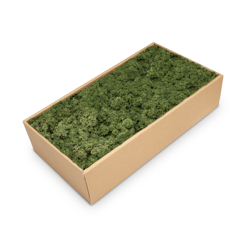 Islandmoos 500 g in über 30 Farben, konservierte Rentierflechte Deko Basteln