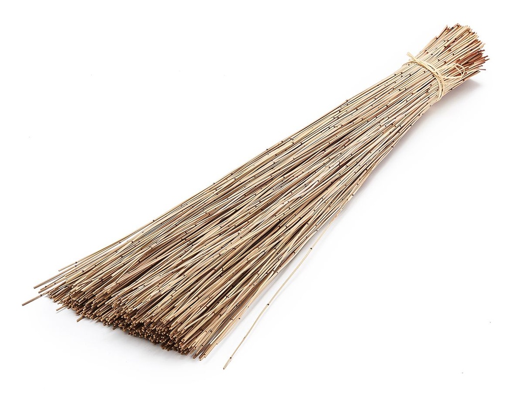 Vleireed 75cm 1kg in 7 Farben zur Auswahl | Restio giganteus