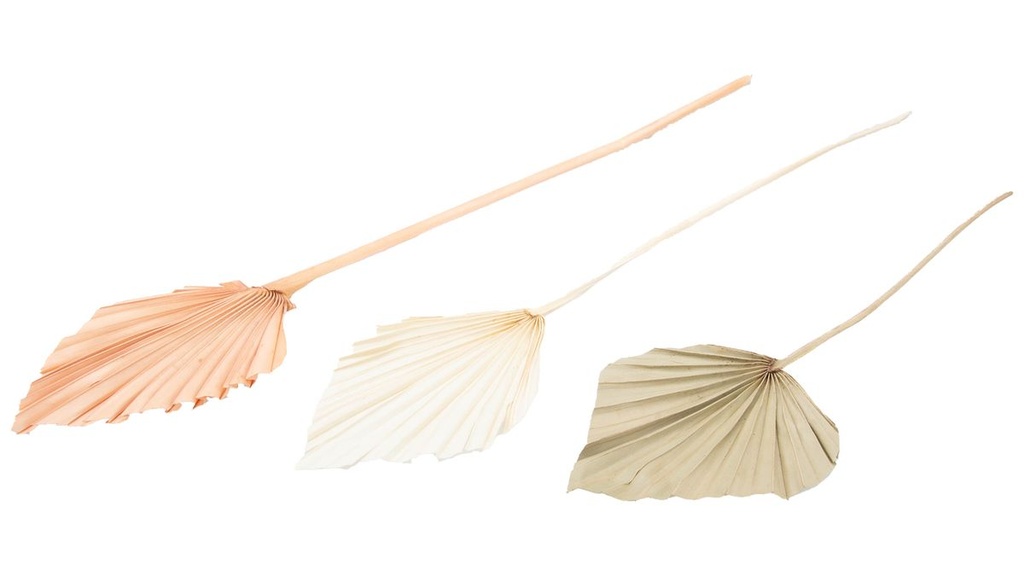 Palmenblatt "Speer", groß, 10 Stück, ca. 30-40cm, Farben wählbar