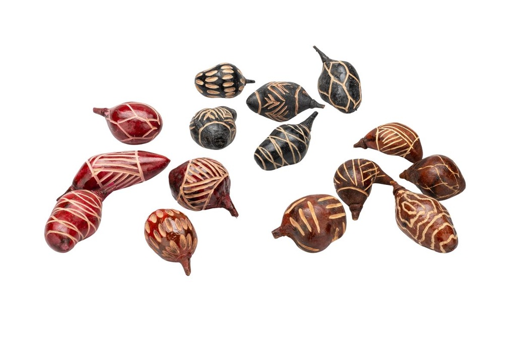 Baobab "Mini", Packung mit 5 Stück, Größe ca. 5-10 cm, Mix-Design, in 3 Farben erhältlich | Adansonia digitata