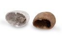Palm Pods wählbar in Natur oder Weiß, Größe ca. 5-7cm | Borassus flabellifer