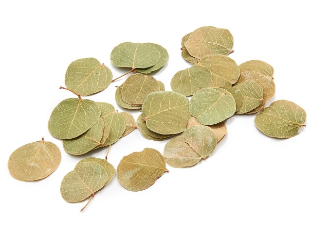Moneta Blätter Natur oder Weiß, getrocknet  im Beutel mit 250g | Chamaecrista orbiculata