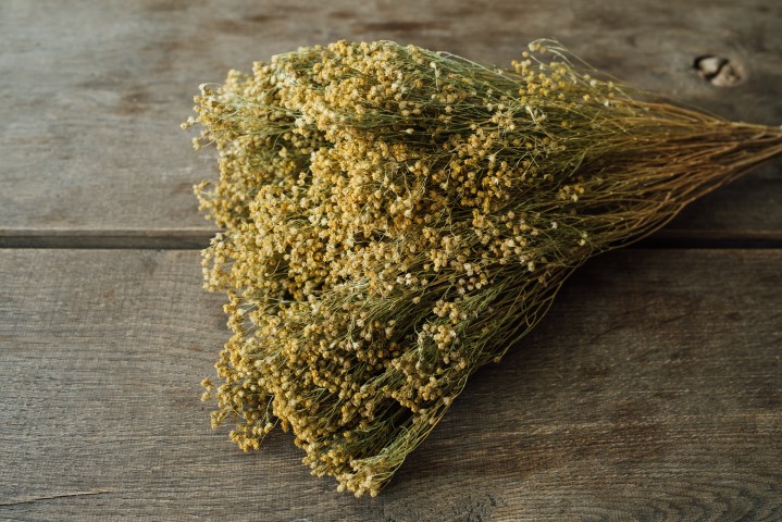 Broom ca. 50 cm im Bund, natur oder gebleicht, getrocknet Deko Natur Naturdeko