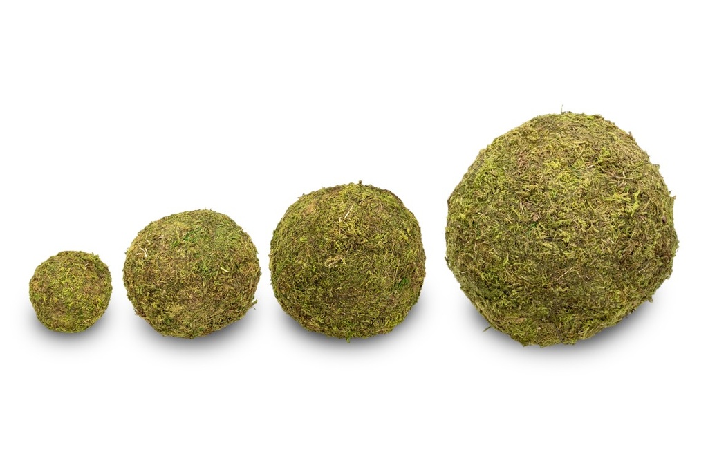 Moos-Ball mit Durchmessern von 8, 10, 15, und 20cm zur Auswahl | Moos-Kugel
