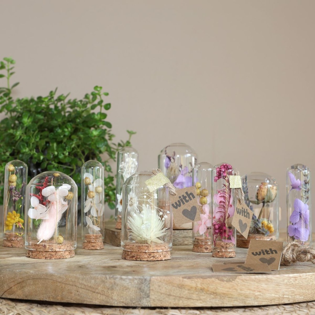 Glasdom Mini mit Korksockel 3 Größen Glasglocke klein befüllen Trockenblumen