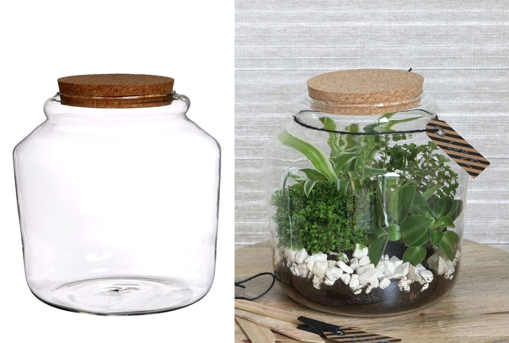 Pflanzen-Terrarium aus Glas, mit Korken, in zwei Größen wählbar | Pflanzenterrarium