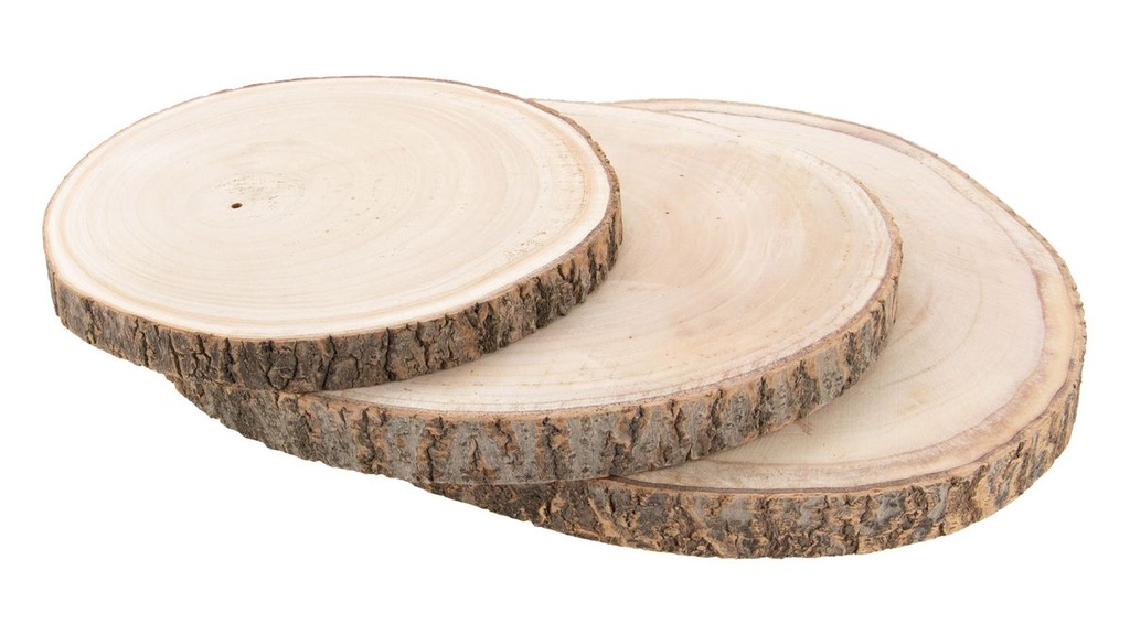 Paulownia-Holzscheibe in vielen Größen zur Auswahl