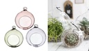 Hängende Glaskugel Vase im Set mit 3 Stück (Grün, Lila, Pink), wählbar in 2 Größen | Sukkulenten Glas | Terrarium Glas | Tillandsia Glas | Flower Air | Pflanzgefäß | Teelichtglas