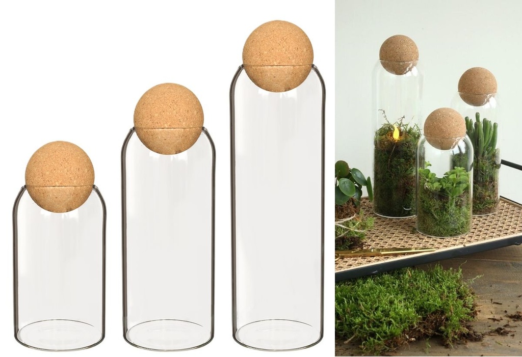 Flaschengarten aus Glas mit Korken, drei Höhen wählbar, Ø 8,5 cm Terrarium