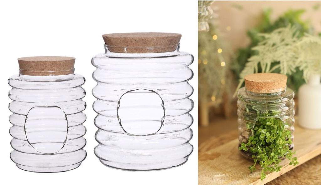Glas-Terrarium mit Korken, wählbar in zwei Größen | Flaschengarten | Pflanzenterrarium | Glasvase | Pflanzenglas | Glas-Terrarium | Dekovase | Dekoglas mit Korken | Glasdeko
