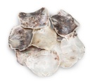 Placuna placenta 0,5 kg 10-12 cm Perlmuttscheiben Capiz durchscheinend Deko