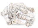 Cerithium nodulosum 0,5 kg 6-10 cm ca. 10-15 Stück Knotenschnecke Deko maritim