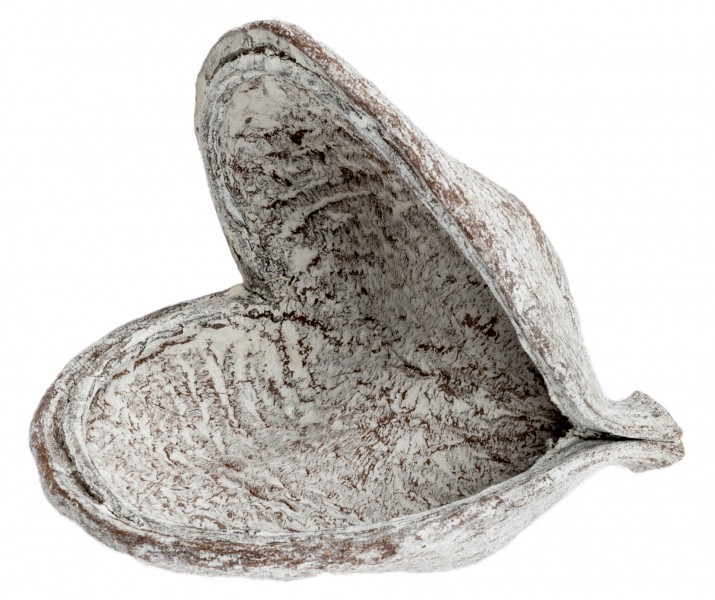 Badam Schote weiß 8-12 cm Sterculia foetida Dekoschale gefärbt Duftkugeln Deko