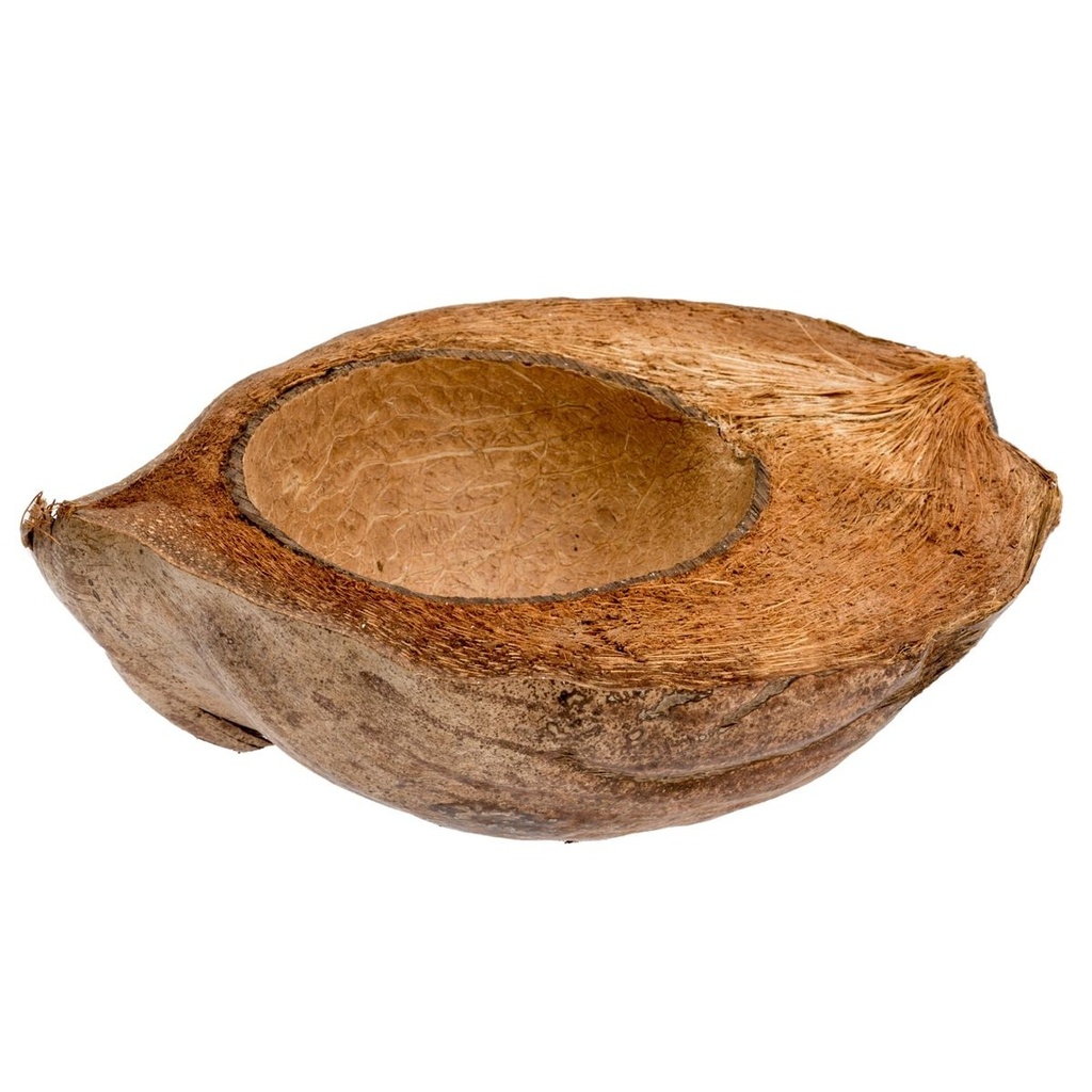 Kokosnussschale 15-20 cm, längs halbiert, Cocos nucifera Pflanzschale Terrarium