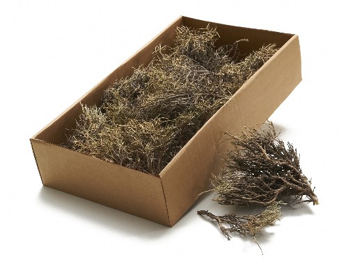 Iron Busch natur ca. 500g