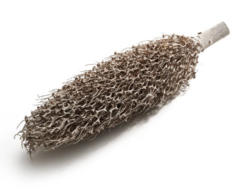 Tocha olympica in Weiß, Größe ca. 40-60cm | Palmen-Fackel