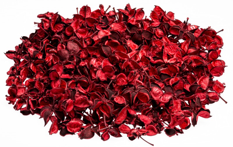Cotton Pods rot 250 g 2-3 cm Baumwollknospen Trockenblumen Basteln Deko Advent