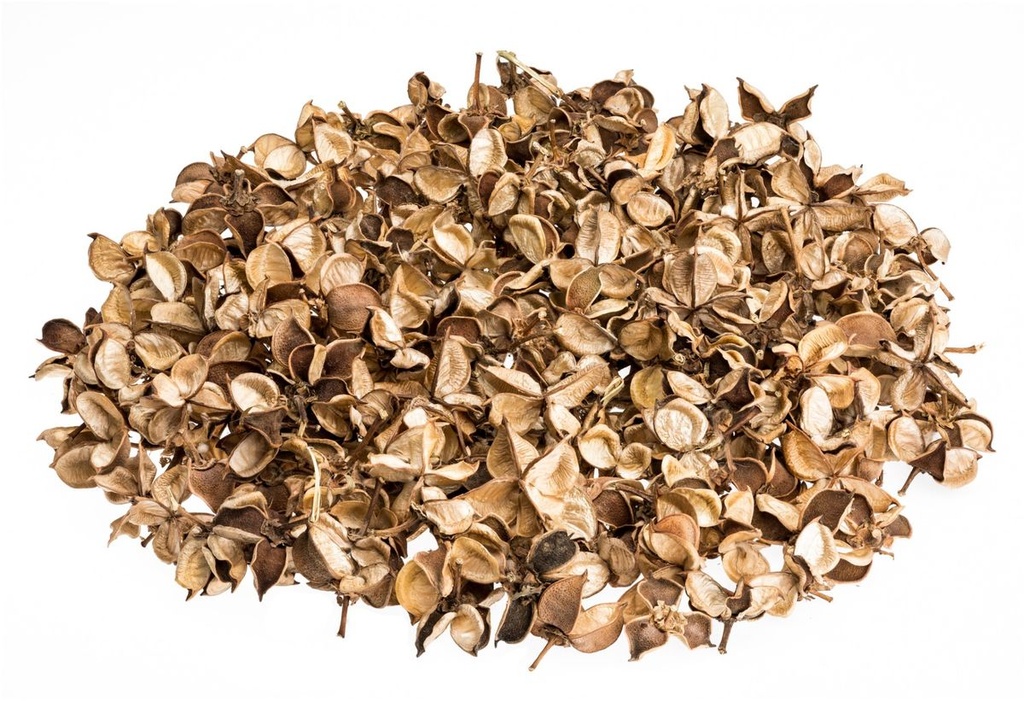 Cotton Pods Natur, verpackt im Beutel mit 250g | Baumwoll Knospen
