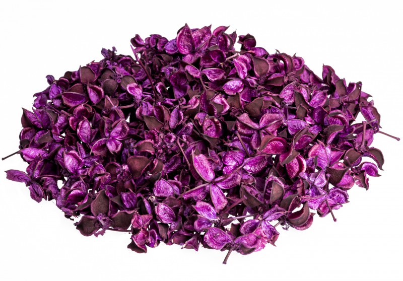 Cotton Pods lila 250g