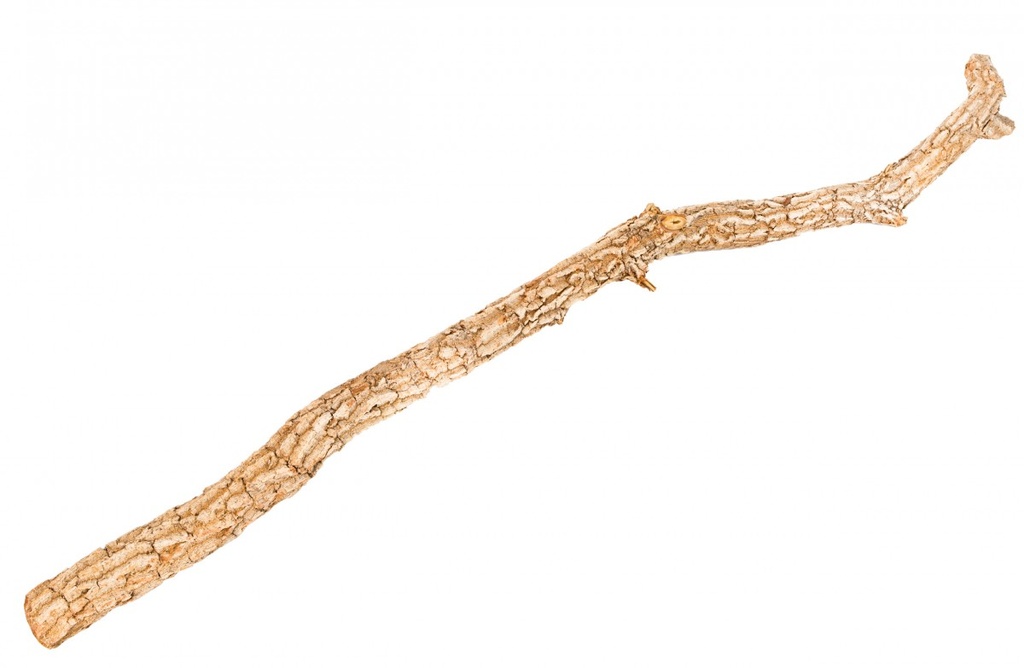 Korkeichenstamm 200cm x 6-8cm