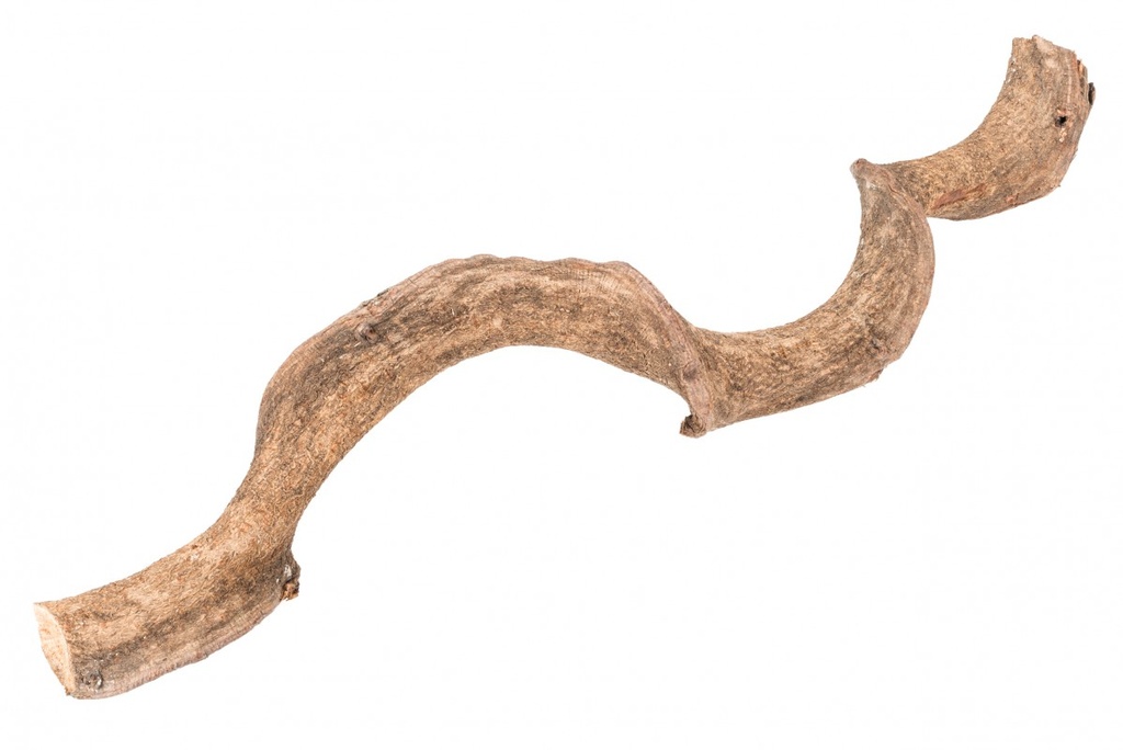 Drachen Liane Natur 60 cm, Ø 2-3 cm, Rattan gewachsen Deko Naturdeko Dekoration
