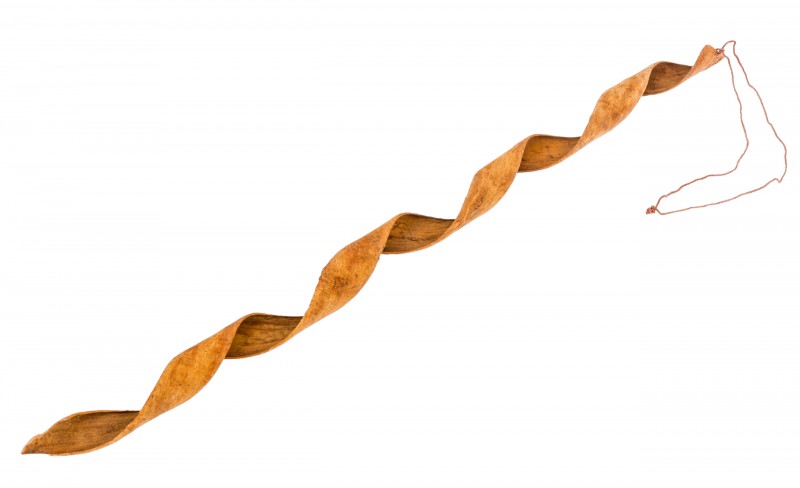 Zimtlocke ca. 40 cm gedrehte Zimtrinde Dekozimt lange Zimtstange Advent Deko