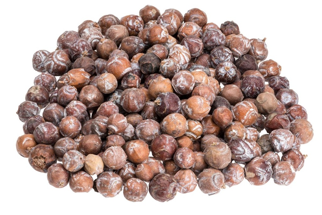 Estrelinia-Zapfen in Natur, 1kg, Größe 1-2cm | Juniperus drupaceae