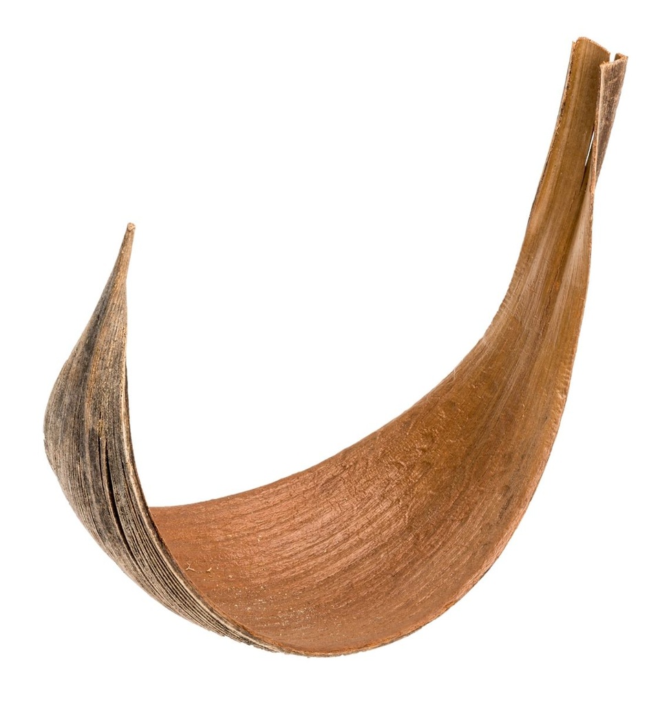 Kokosblatt Galera Medium natur, 8-12 cm, kleine Palmschale Deko Natur Naturdeko