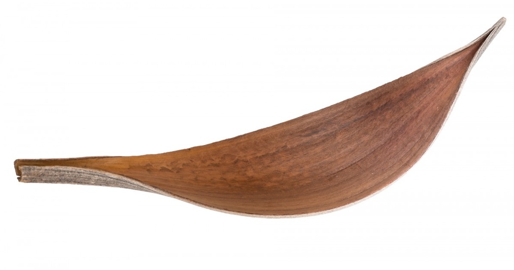 Kokosblatt Medium natur 15-40 cm Kokos Blütenhülle Palmenschale Terrarium Deko