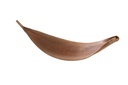Kokosblatt Galera offen 40-70 cm Palmenschale Palmenblatt Brasilien Deko Natur